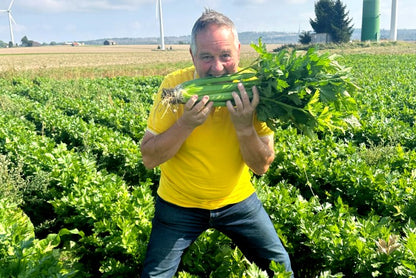 Stangensellerie Bio regional (Permakultur)