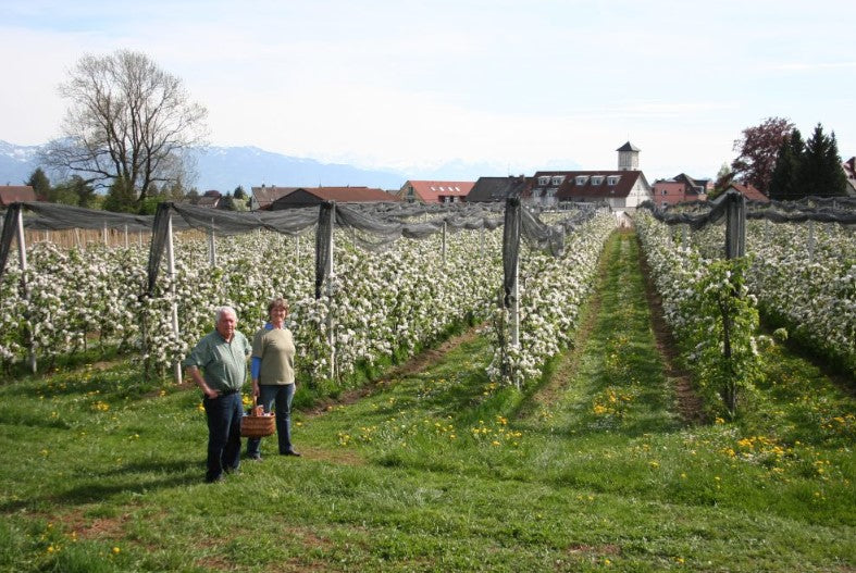 Birnen "Alexander Lucas" regional vom Obstgut Erletz Bio