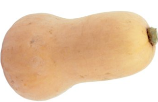 Kürbis "Butternut" von Biohof Fuchs aus Schrobenhausen