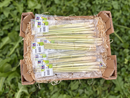 Zitronengras Bio 2-3 Stück (50g)