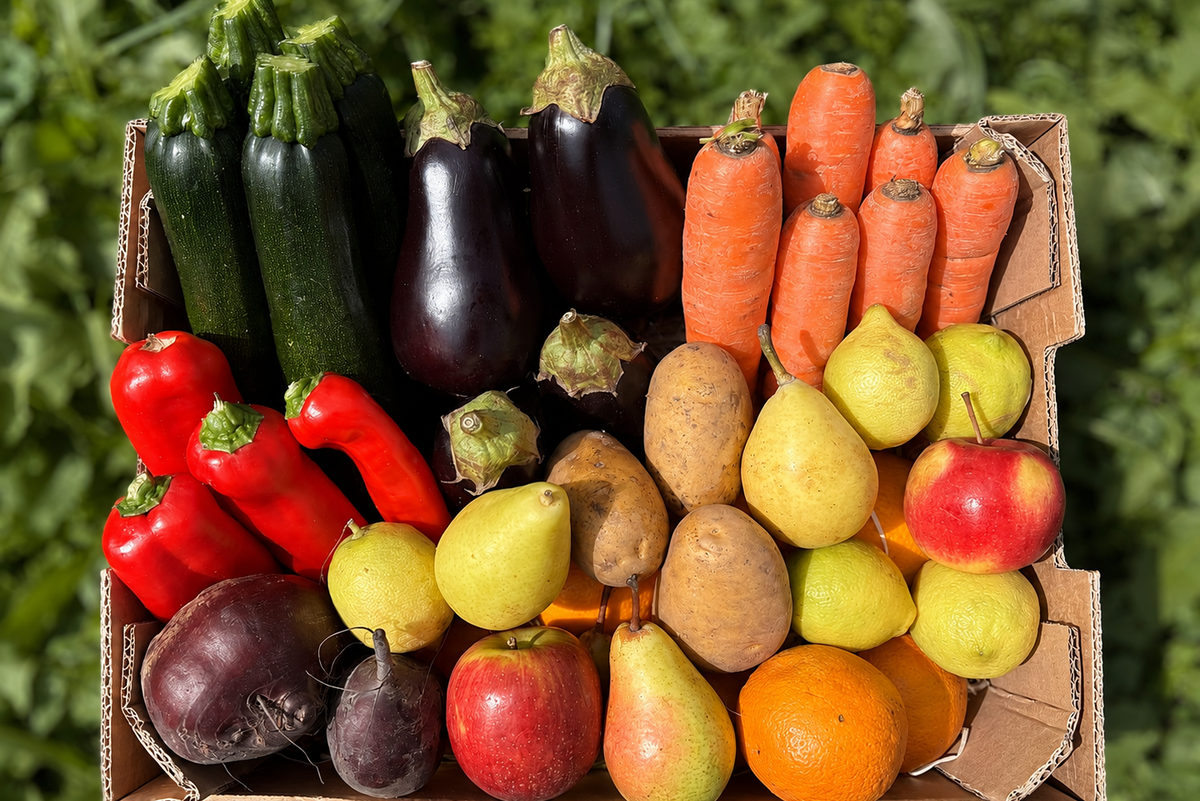 Bio Obst & Gemüse Retterbox 5kg