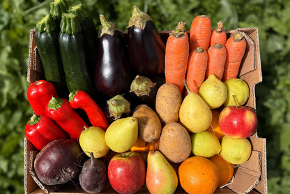 Bio Obst & Gemüse Retterbox 5kg