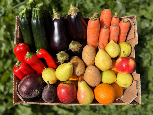 Bio Obst & Gemüse Retterbox 5kg