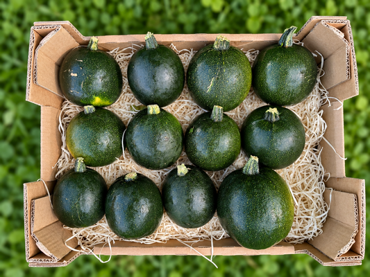 Kürbis "Rondini" Bio regional von Biohof Fuchs aus Schrobenhausen