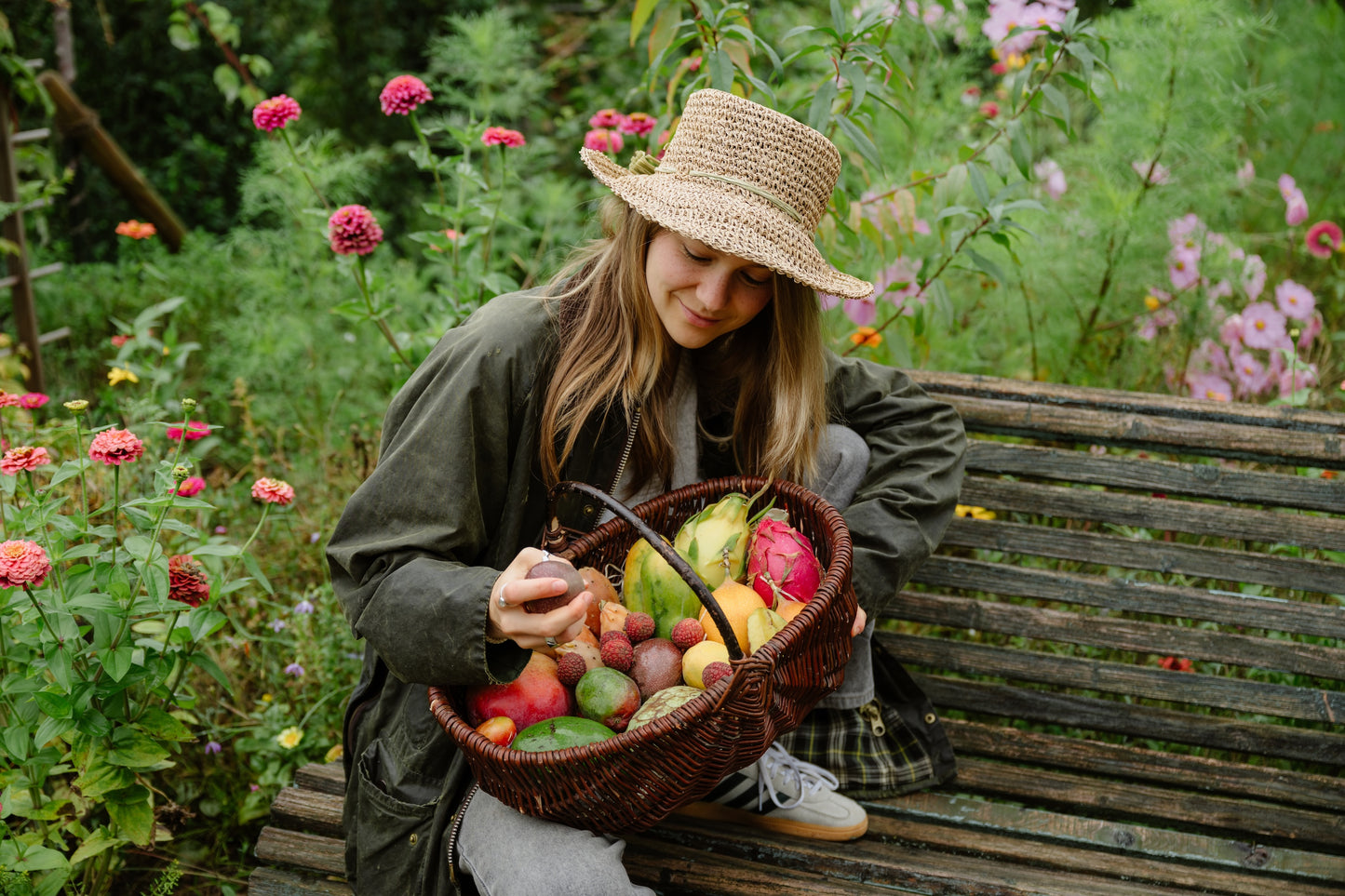 Annas Exotic-Box Bio & wild