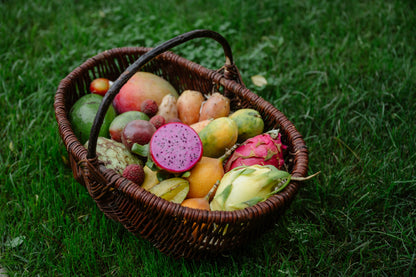 Annas Exotic-Box Bio & wild