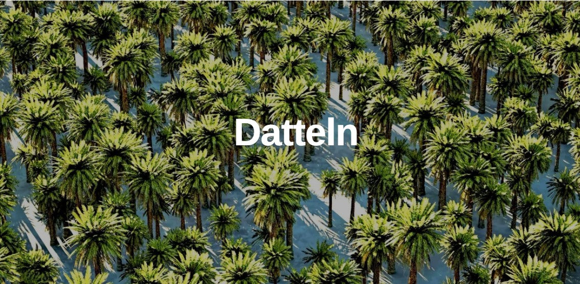 Datteln Sukkari Bio 1kg Box