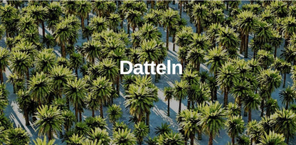 Datteln Sukkari Bio 1kg Box