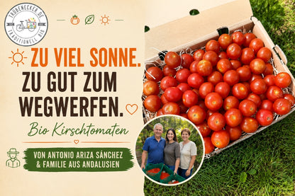 Kirschtomaten Bio von Antonio Retterbox 1kg
