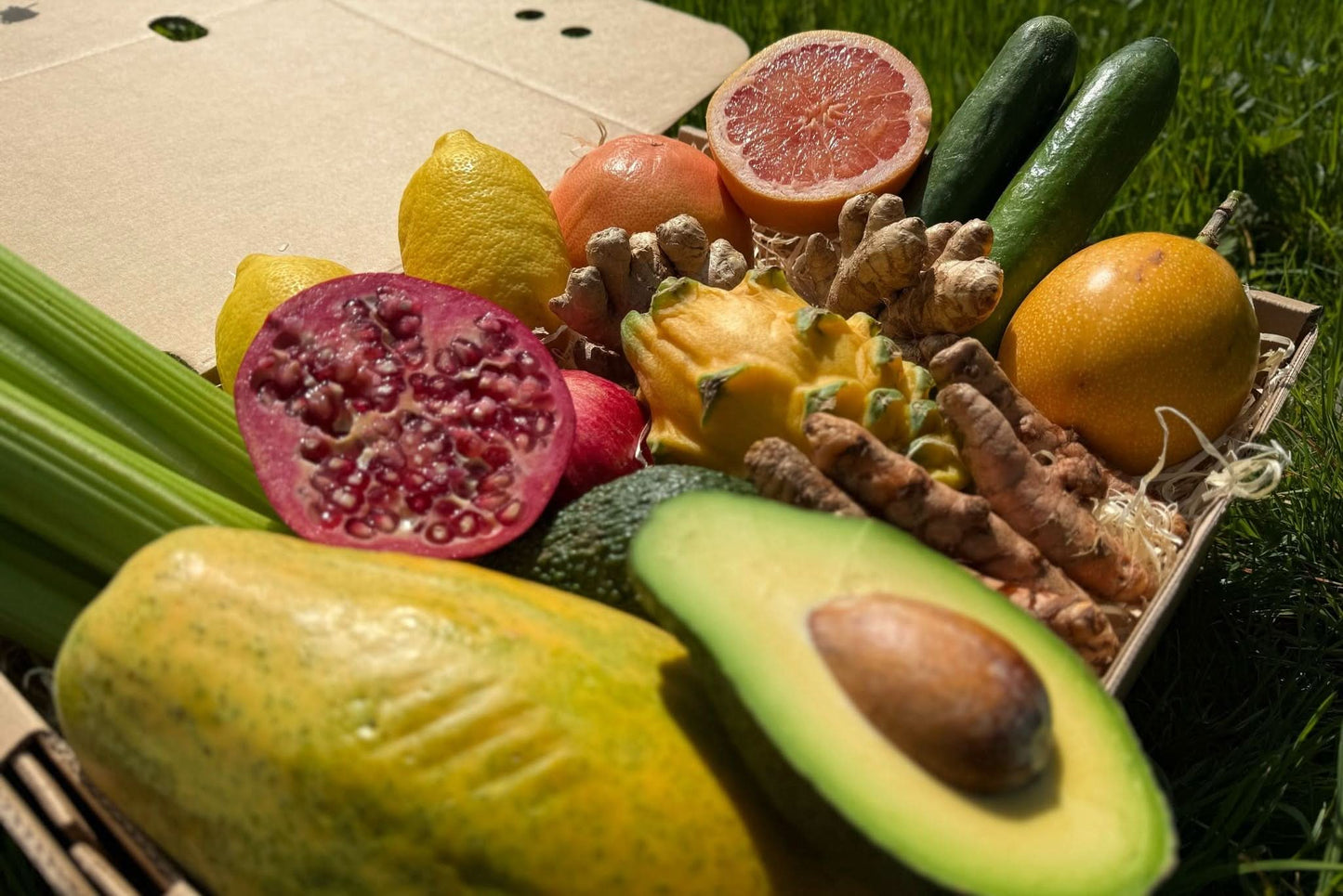Detox Box