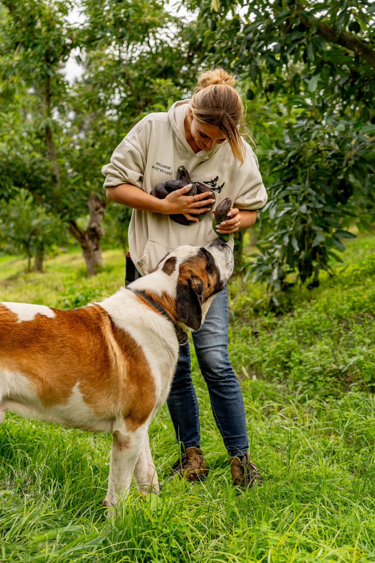 Avocado Wild Bio Demeter von Julia