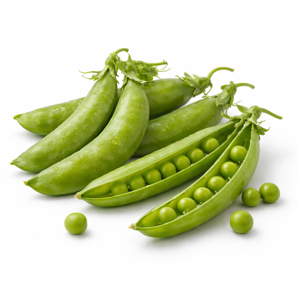 Erbsen in der Schote Bio (Piselli) aus italien