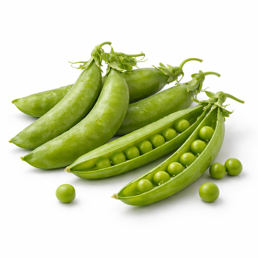 Erbsen in der Schote Bio (Piselli) aus italien