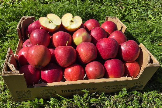 Apfel "Gala" Bio regional bioland vom Obstgut Erletz