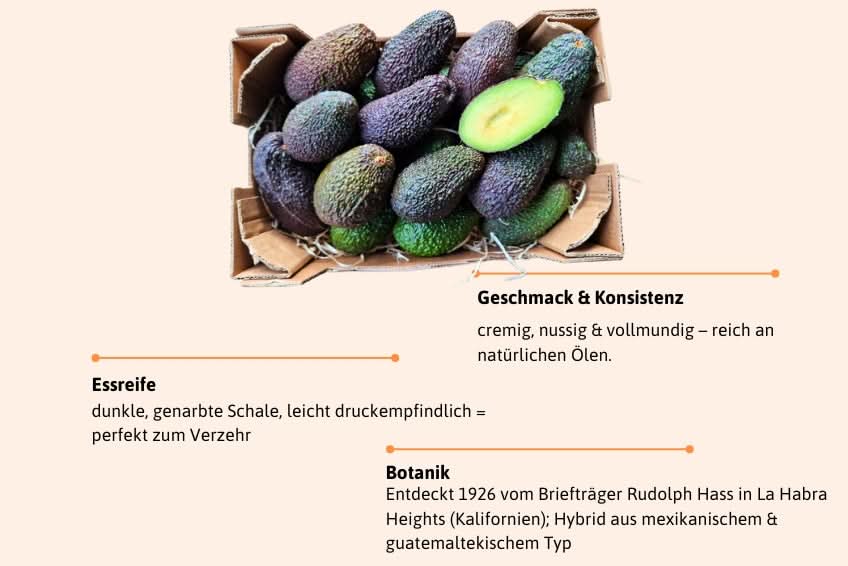 Avocado Hass Bio von Julian Sparpreis-Box %