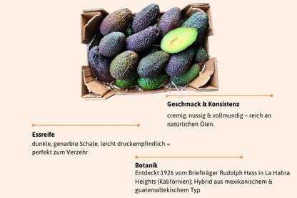 Avocado Hass Bio von Julian Sparpreis-Box %