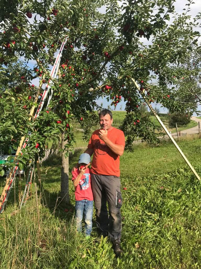 Bio Apfel "Prinz Albrecht" alte Sorte regional 1kg