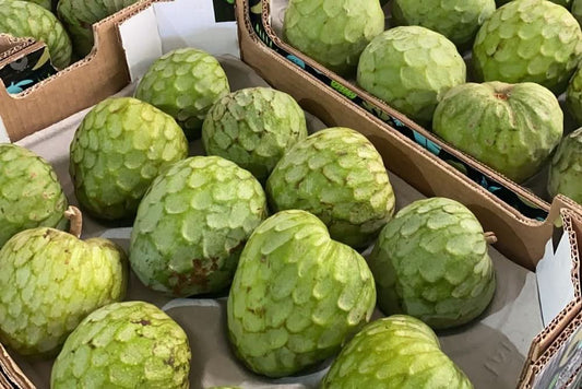 Cherimoya Bio Finca Alto Cantarrijan Box Aktionspreis