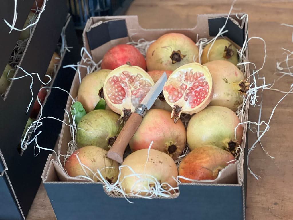 Granatapfel rosa "Mollar" Bio von Antonio Flash-Aktion