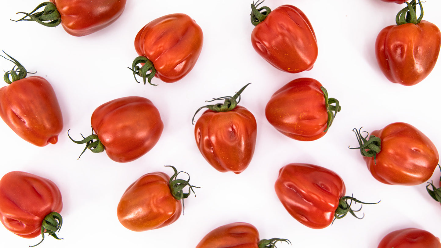 Tomaten "Wabi Sabi" von Julian