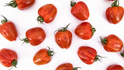 Tomaten "Wabi Sabi" von Julian
