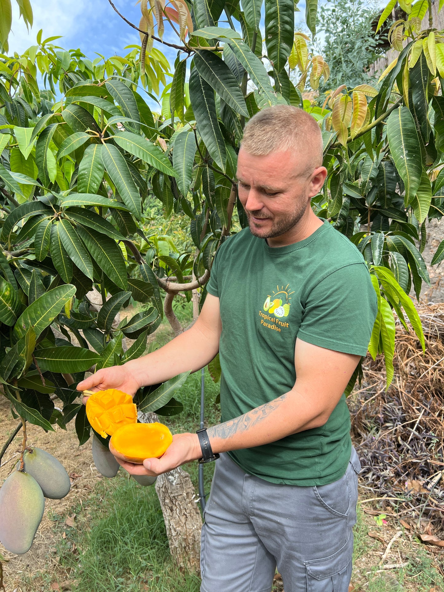 Mango-Raritäten Mix von Julian