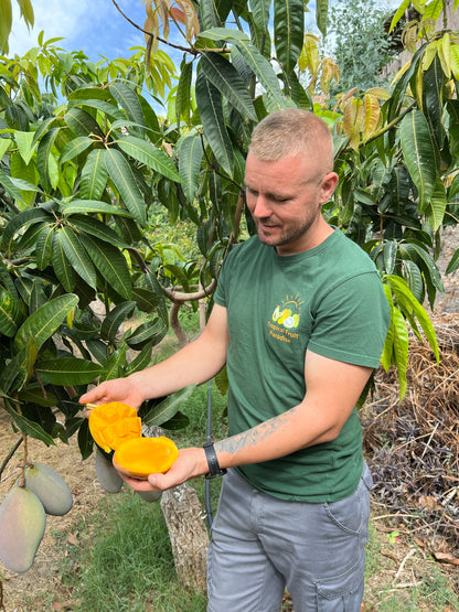 Mango-Raritäten Mix von Julian