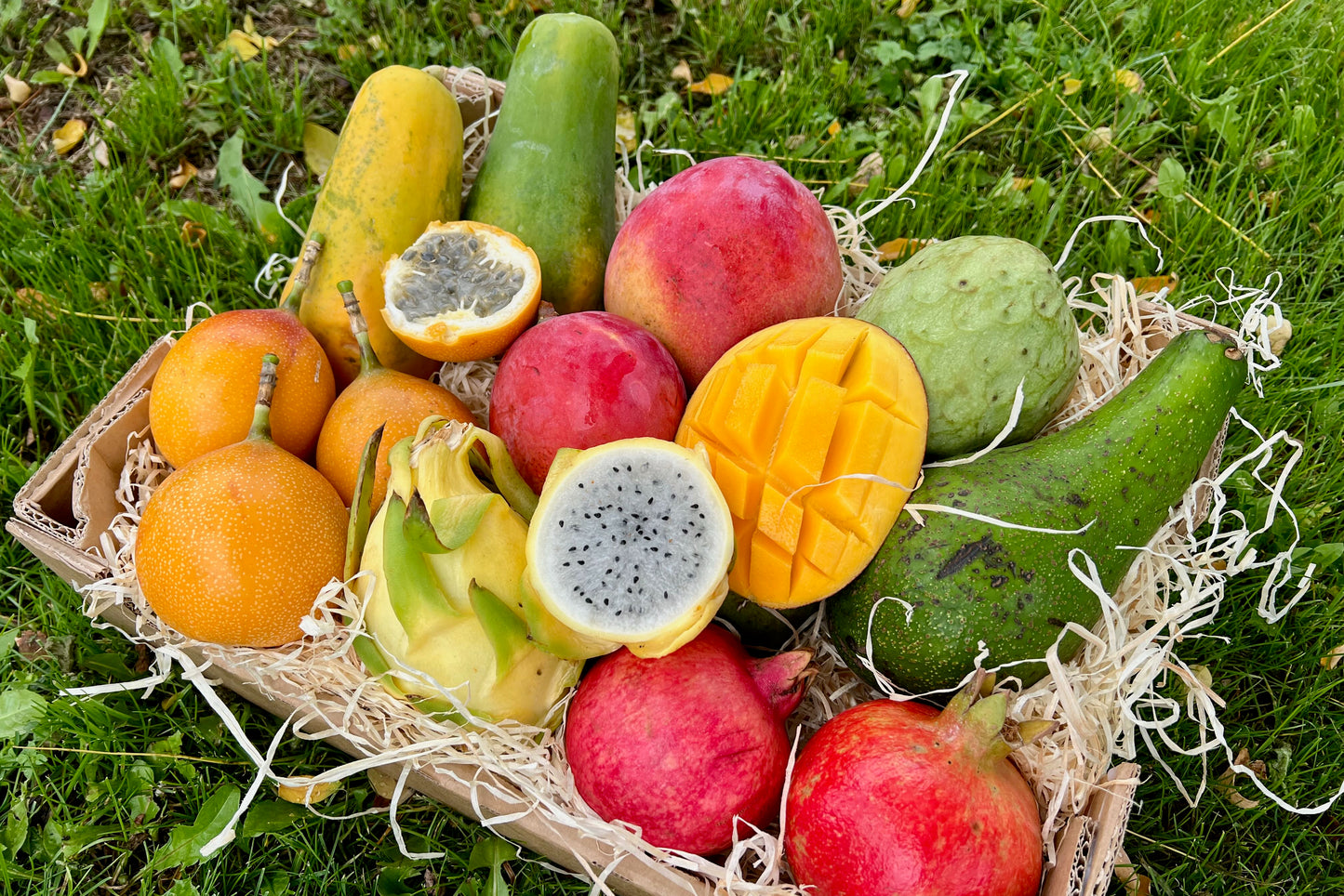 Exotische Früchtebox "Lieblingsfrüchte"