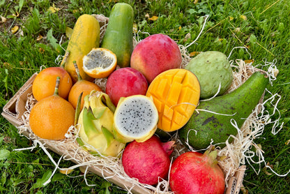 Exotische Früchtebox "Lieblingsfrüchte"
