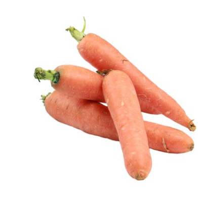 Bio Karotten neue Ernte