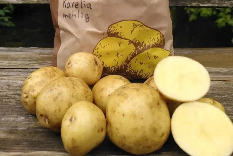 Bio Kartoffeln Karelia mehlig regional vom Billesberger Hof 1kg