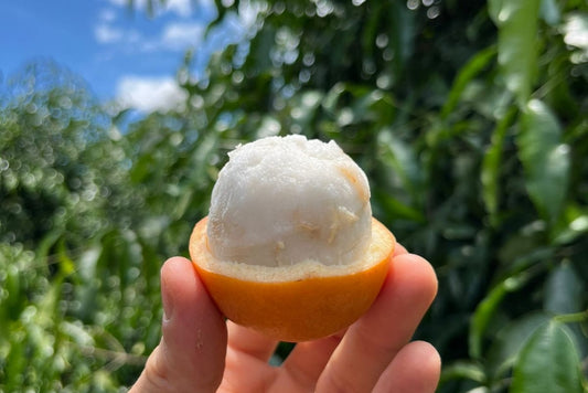 Achachairu Aktionswoche %