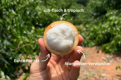 Achachairu Aktionswoche %