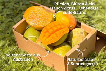 Mango Rarität "Kensington Pride" von Julian