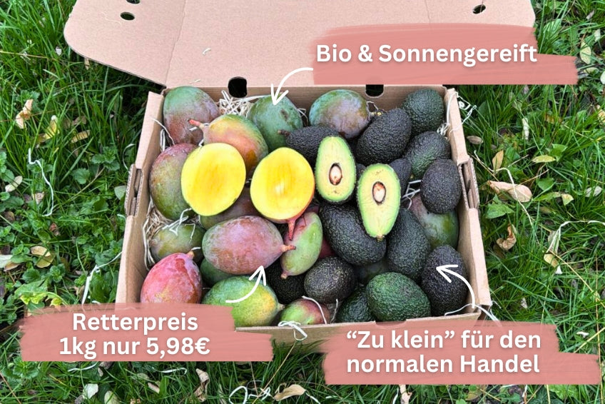 Mini Mango & Avocado Retterbox