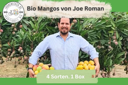 Mango-Träume Mix-Box 2kg Community-Deal %