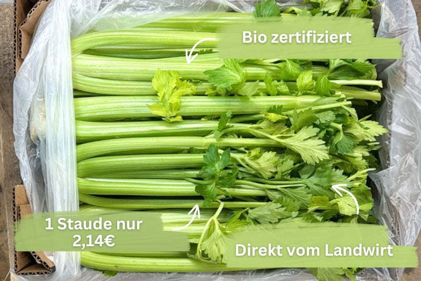 Stangensellerie Bio