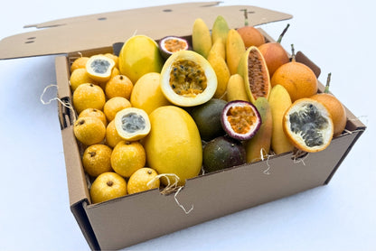 Passiflora Discovery Box