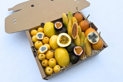 Passiflora Discovery Box