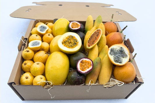 Passiflora Discovery Box