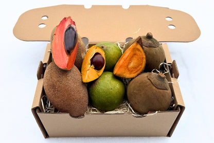Sapote Trio Entdeckerbox
