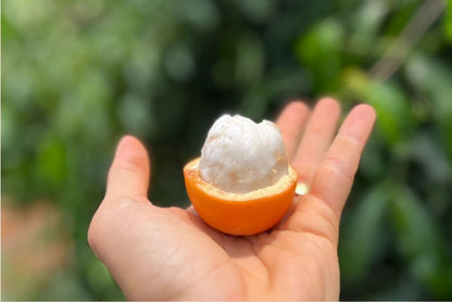 Achachairu Aktionswoche %