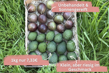 Baby Avocado & Passionsfrüchte von Juan Retterbox % 3kg