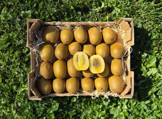 Goldkiwi Zespri Bio