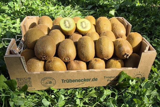 Kiwi grün Bio