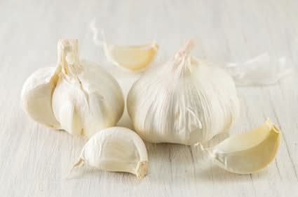 Knoblauch Bio