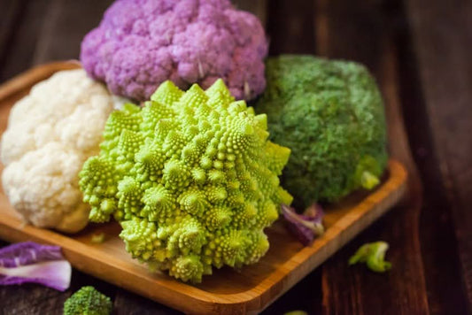 Kohl Quartett Italien Bio (quartetto di cavolo) 4 Stk.