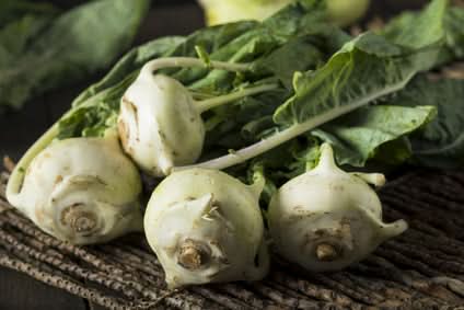 Kohlrabi grün Bio