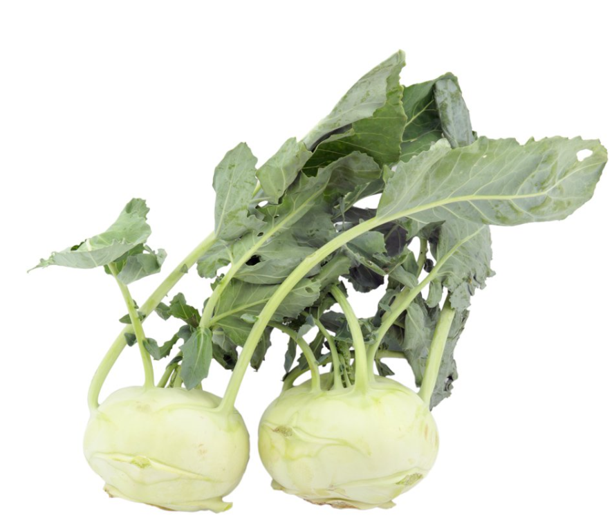 Kohlrabi grün regional Bio bestellen