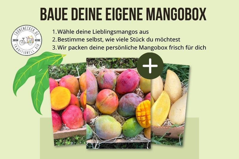 Baue deine eigene Mango-Box